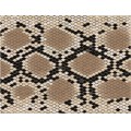 Snake-Skin-Background01