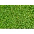 Grass-Background-01