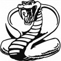 Cobra