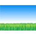 Grass-Sky-Background02