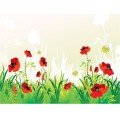 Flowers-Background02