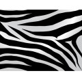 Zebra-Print-Background01