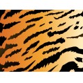 Tiger-Print-Background02