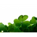 St-Patricks-Background