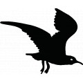 Bird28