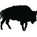 Buffalo