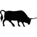 Bull