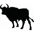 Bull2