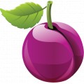 Plum-01