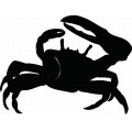 Crab