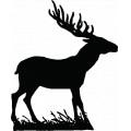 Deer2