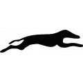 Greyhound