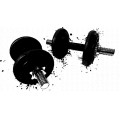 Weights-02