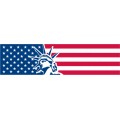 Liberty-Flag-01