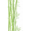 Bamboo-01-1