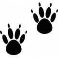 Pawprint01