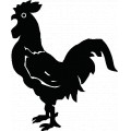 Rooster