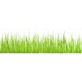 Grass-Background01