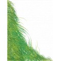 Grass-Background02