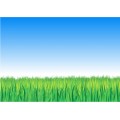 Grass-Sky-Background02