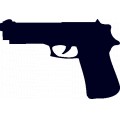 Gun-2