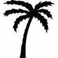 Palm-Tree02