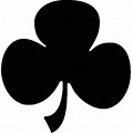 Shamrock-11