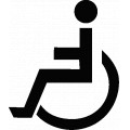 Handicapped-1