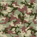 Camo-Background01