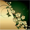 Flowers-Background03