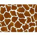 Giraffe-Print-Background01