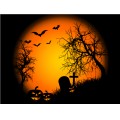 Halloween-Background03